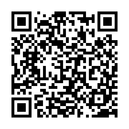 QR code for 463245
