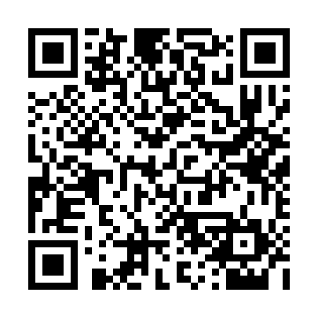 QR code for 463314