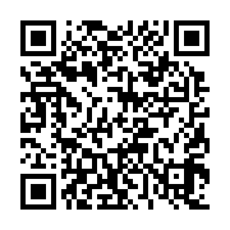 QR code for 463319