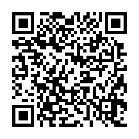 QR code for 463336