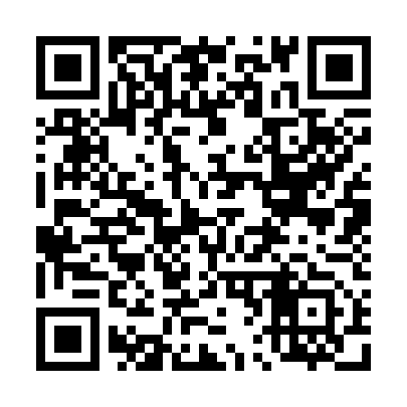 QR code for 463353