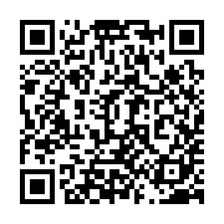 QR code for 463381