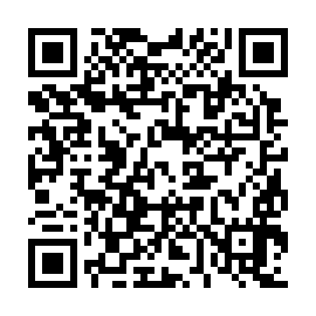 QR code for 463397