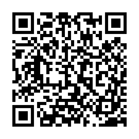 QR code for 463463