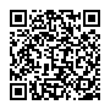 QR code for 463538