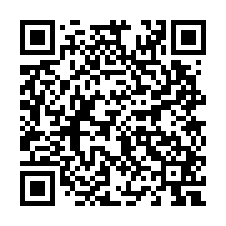 QR code for 463741