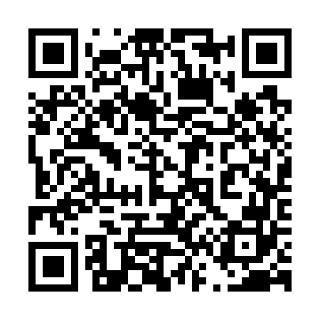 QR code for 463762