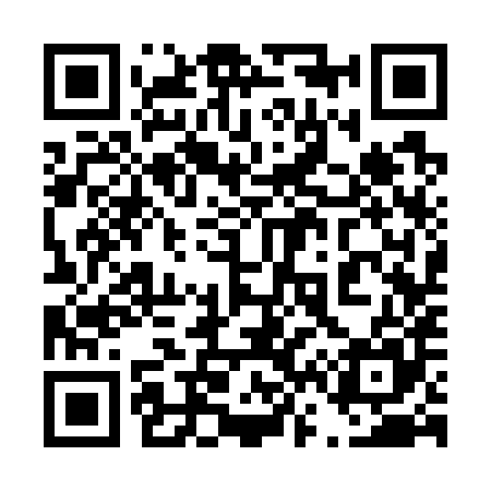 QR code for 463785