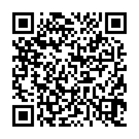 QR code for 463802