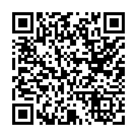 QR code for 463863