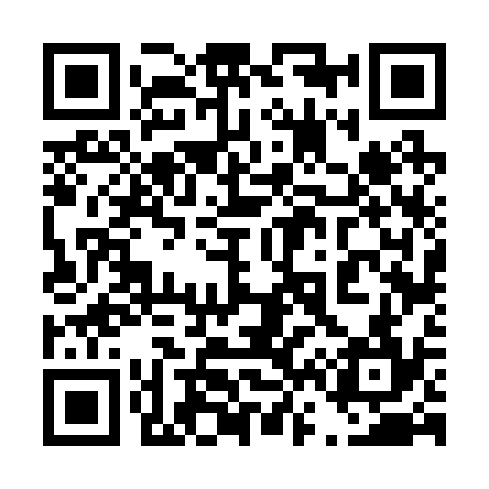 QR code for 466234