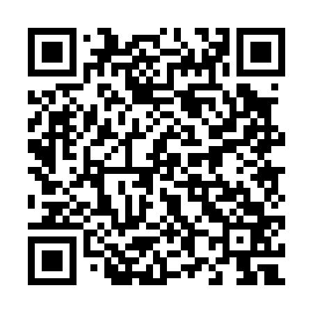 QR code for 480063