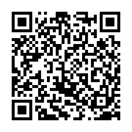 QR code for 481313