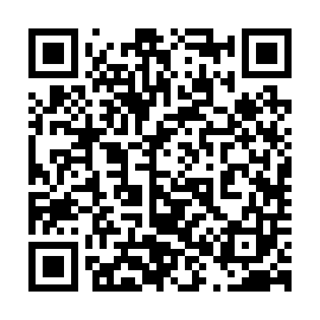 QR code for 482203
