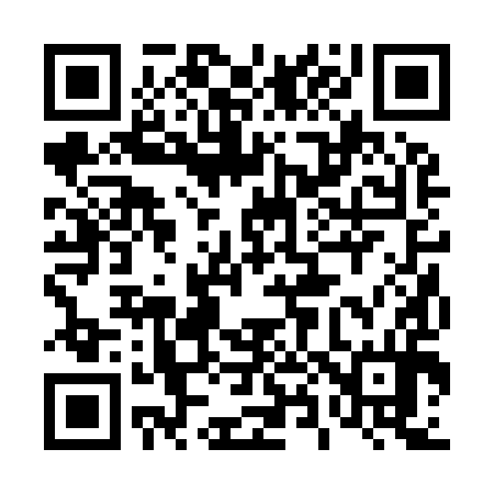 QR code for 482994