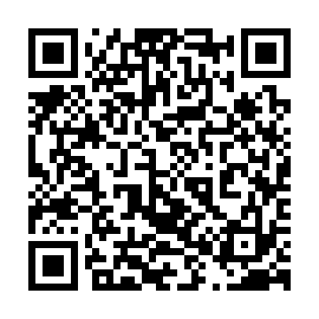 QR code for 483333