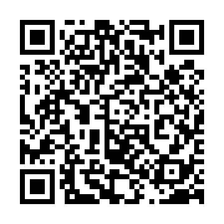 QR code for 483538