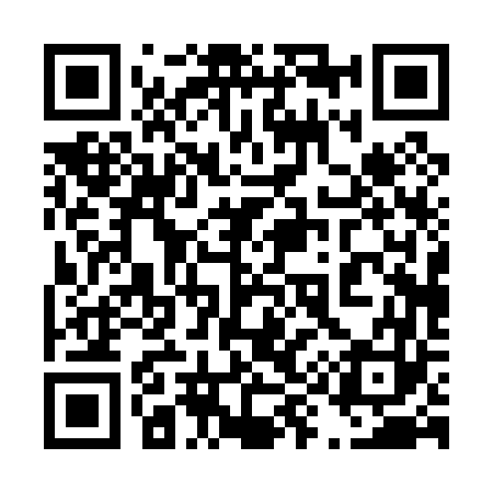 QR code for 490063
