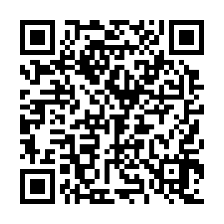 QR code for 490317