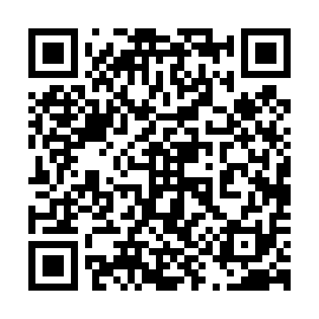 QR code for 490411