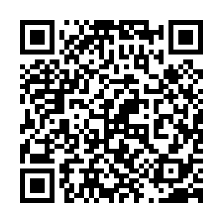 QR code for 491038