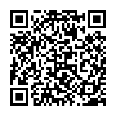 QR code for 491211