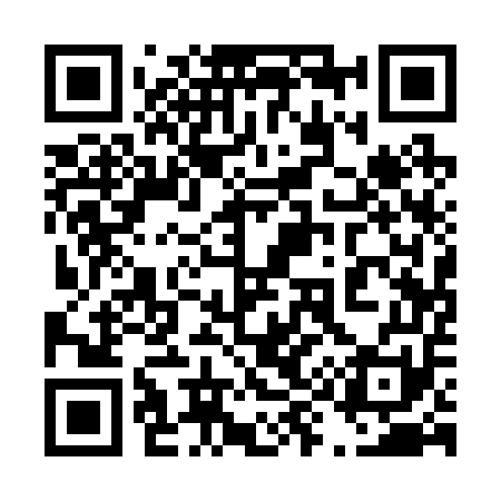 QR code for 491251