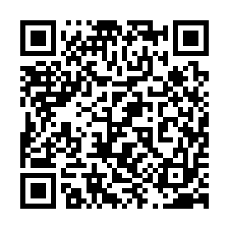 QR code for 491313