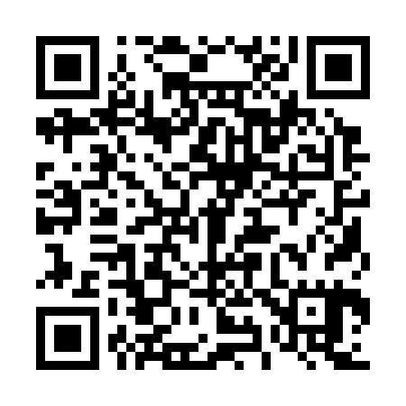 QR code for 491325