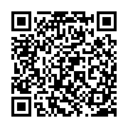 QR code for 491341
