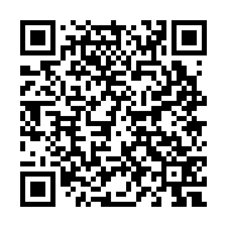 QR code for 491373