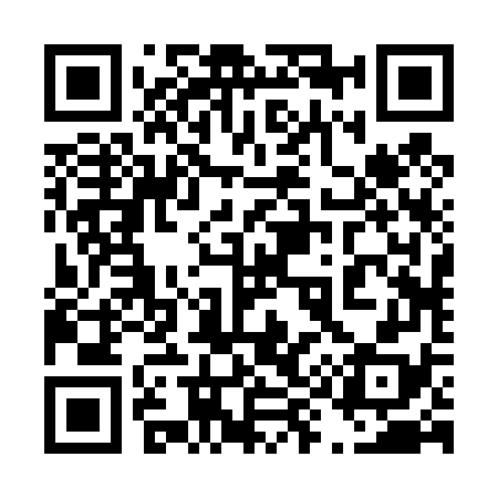 QR code for 492478