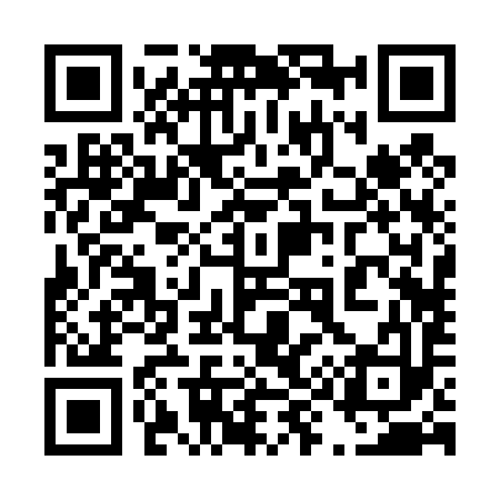 QR code for 492493