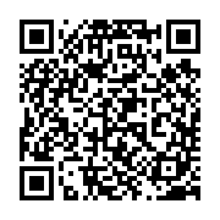 QR code for 492641