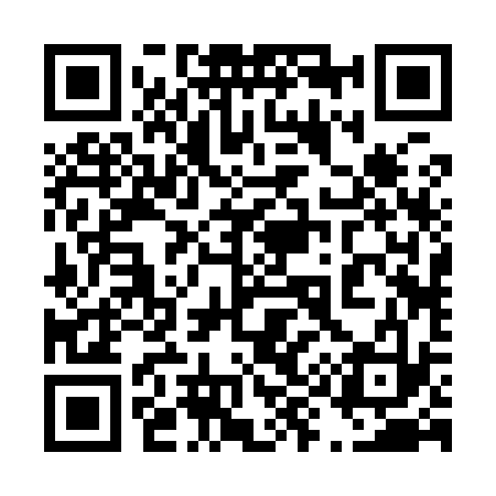 QR code for 492933