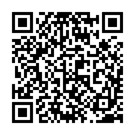 QR code for 492993