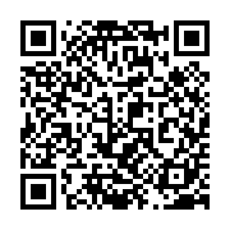 QR code for 493001