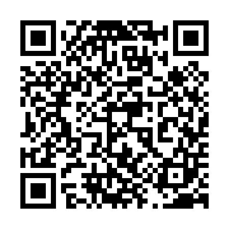 QR code for 493003