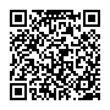 QR code for 493007