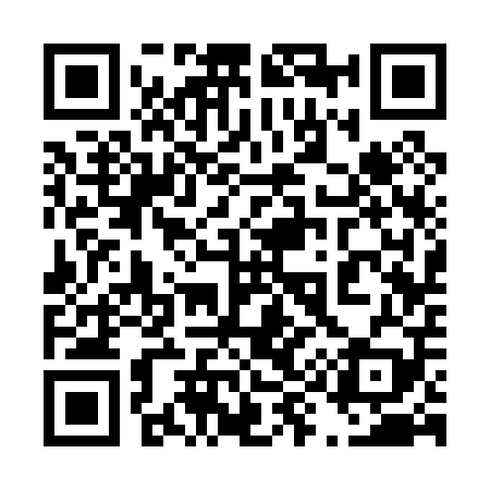 QR code for 493009