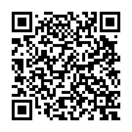 QR code for 493036