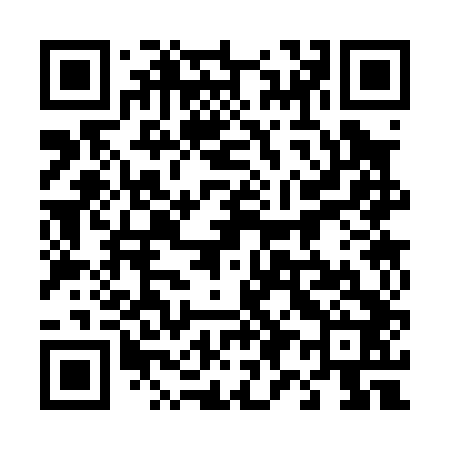 QR code for 493042