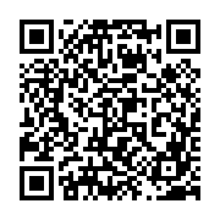 QR code for 493066