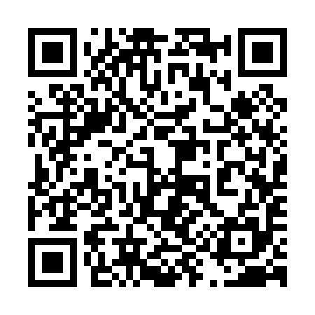QR code for 493095
