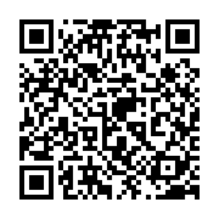 QR code for 493129