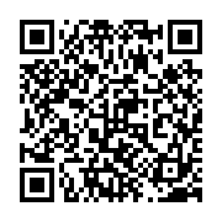 QR code for 493233