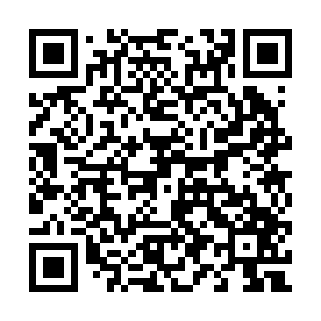 QR code for 493247