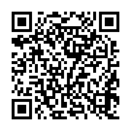 QR code for 493258