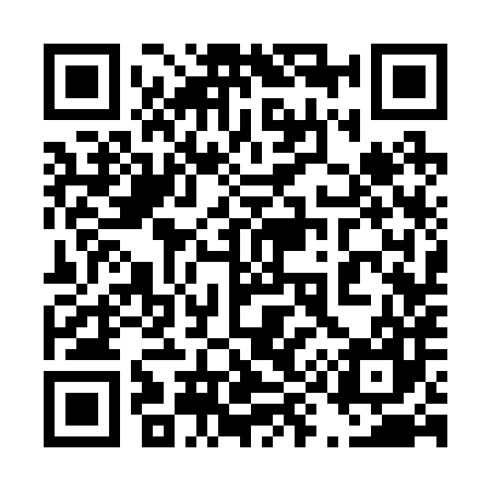 QR code for 493287