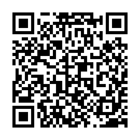 QR code for 493290